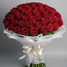 Букет 101 Красная роза Блэк Мэджик в Васильевском Моху