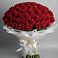 Букет 101 Красная роза Блэк Мэджик в Васильевском Моху