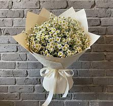 Букет цветов из:  Ромашки в Васильевском Моху
