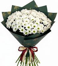 Букет цветов из:  Хризантемы в Васильевском Моху