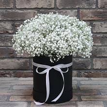 Цветочная композиция из Гипсофила в шляпной коробке в Васильевском Моху